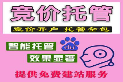 案例分析：SEM推广助力企业业绩增长