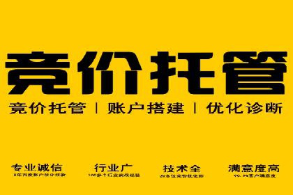 案例分析：SEM推广助力中小企业崛起